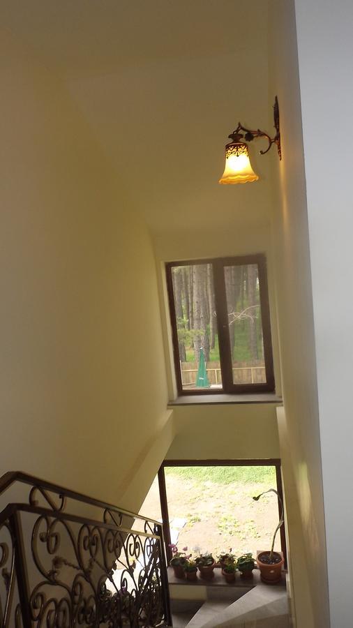 Nectar Hotel Dilijan Exterior photo